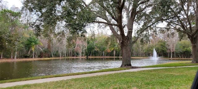 view of community featuring a water view