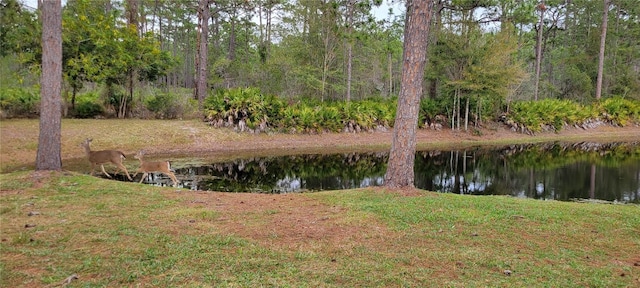 property view of water