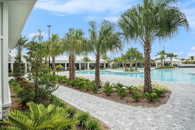 view of swimming pool