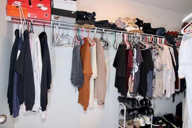 view of spacious closet