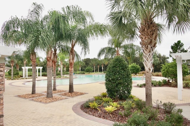 view of swimming pool