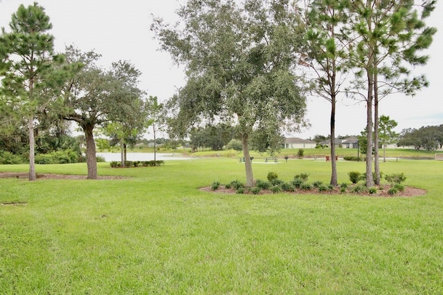 view of yard featuring a water view