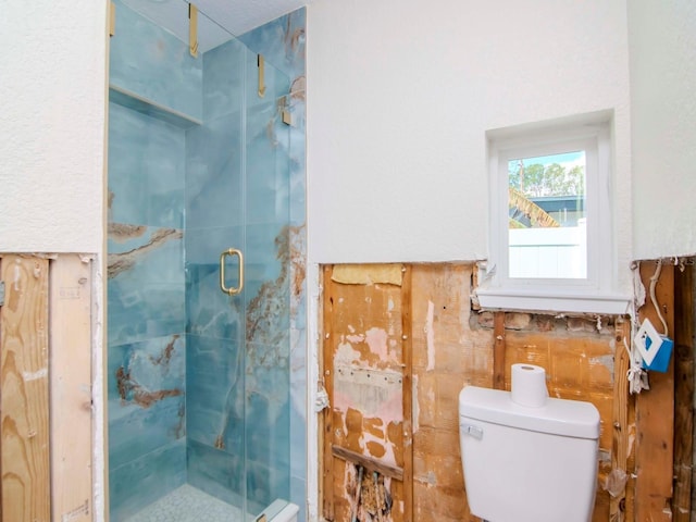 full bathroom with a shower stall and toilet