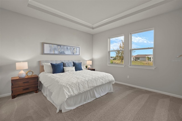 carpeted bedroom with a tray ceiling