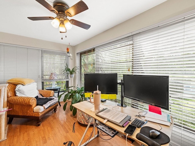 office featuring hardwood / wood-style floors and ceiling fan