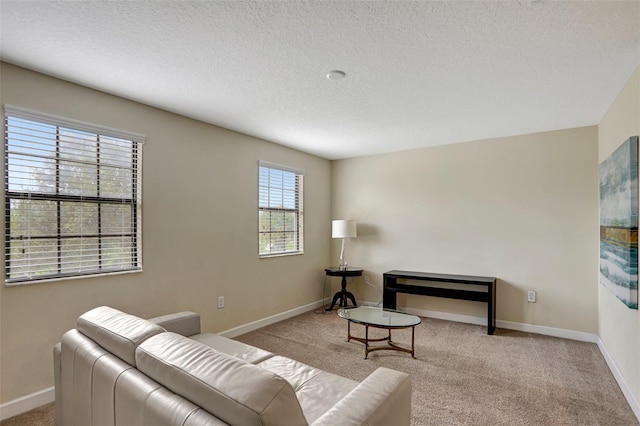 living room with light colored carpet