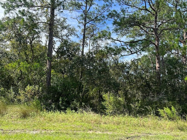 0 Madonna Dr, Webster FL, 33597 land for sale