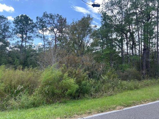 Listing photo 3 for 00 Richardson Blvd Lot # 1, Webster FL 33597