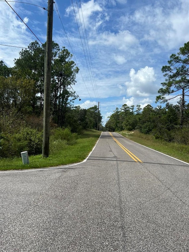 00 Richardson Blvd Lot # 1, Webster, FL 33597 - photo 5