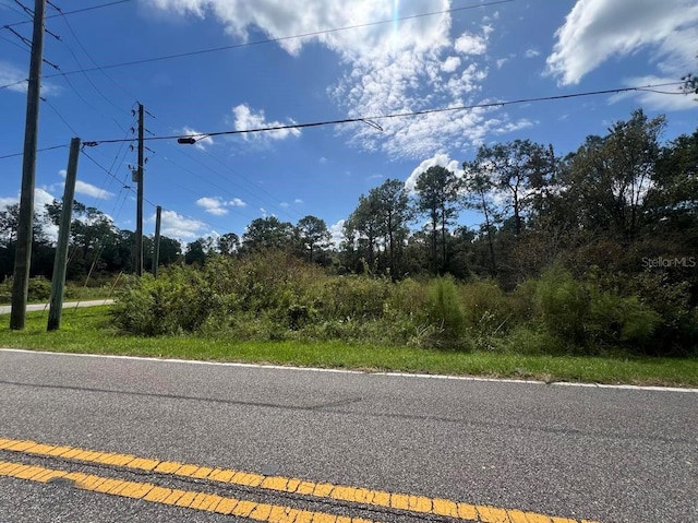 00 Richardson Blvd Lot # 1, Webster, FL 33597 - photo 8