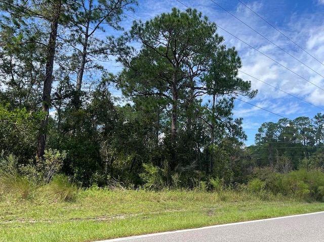 00 Richardson Blvd Lot # 1, Webster, FL 33597 - photo 11