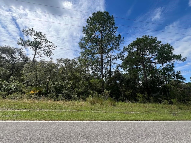 00 Richardson Blvd Lot # 1, Webster FL, 33597 land for sale