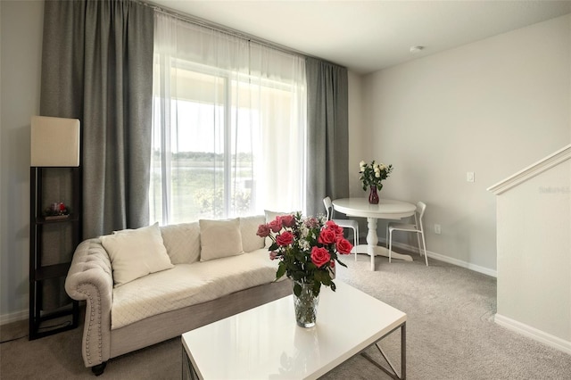 view of carpeted living room