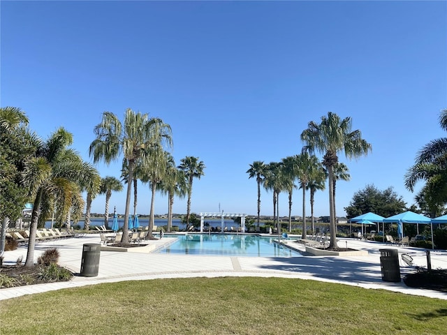 view of swimming pool featuring a lawn