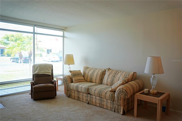 living room with carpet and a healthy amount of sunlight