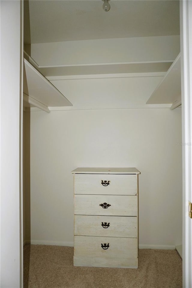 walk in closet with light carpet