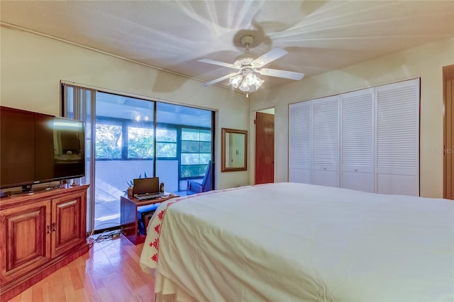 bedroom featuring ceiling fan, a closet, light hardwood / wood-style floors, and access to outside