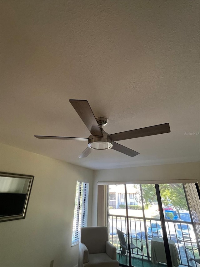 room details with ceiling fan