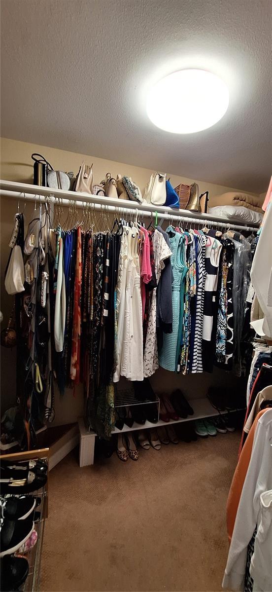 spacious closet featuring carpet flooring