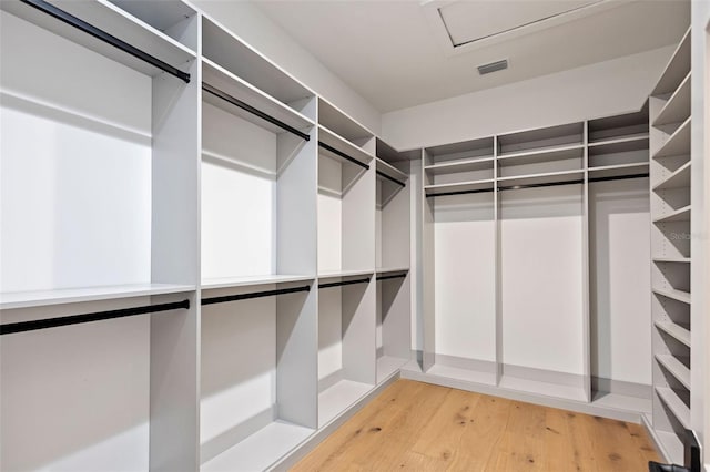 spacious closet featuring wood-type flooring