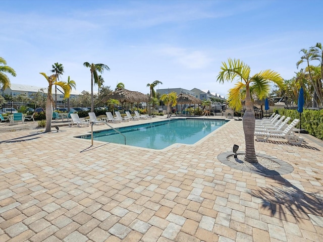 view of pool featuring a patio area