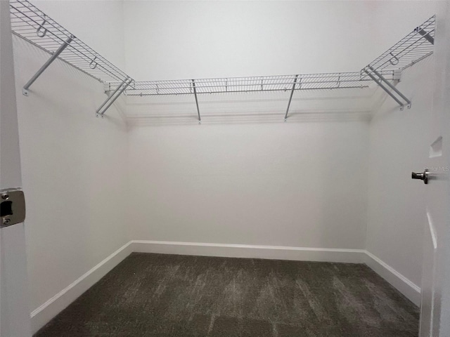 walk in closet featuring dark carpet