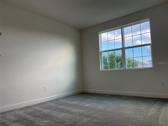 spare room featuring carpet floors