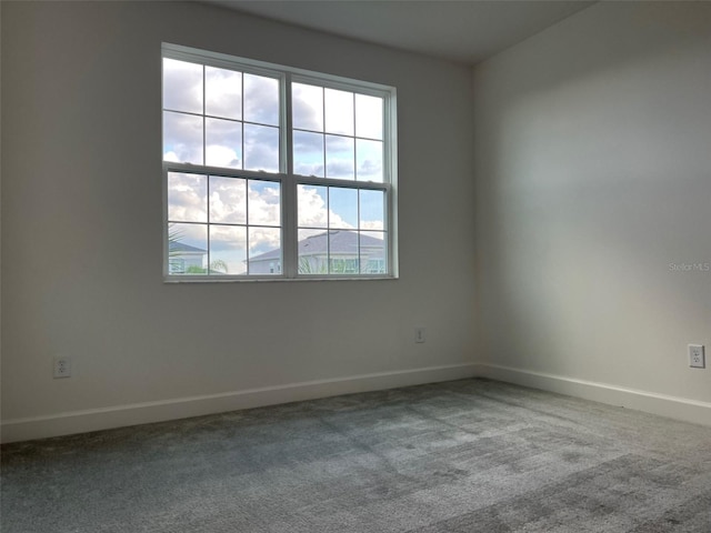 unfurnished room with carpet