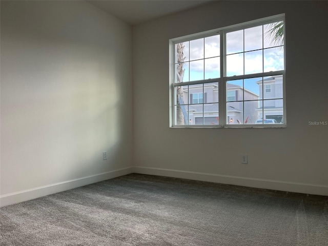 spare room featuring carpet flooring