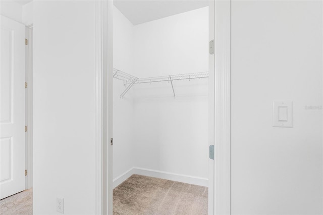 spacious closet featuring light carpet