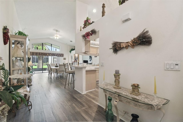 hall featuring dark hardwood / wood-style floors and high vaulted ceiling