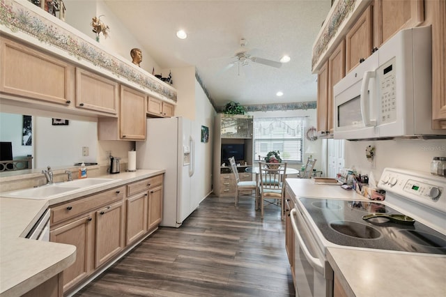 kitchen featuring sink, dark hardwood / wood-style flooring, a textured ceiling, white appliances, and ceiling fan