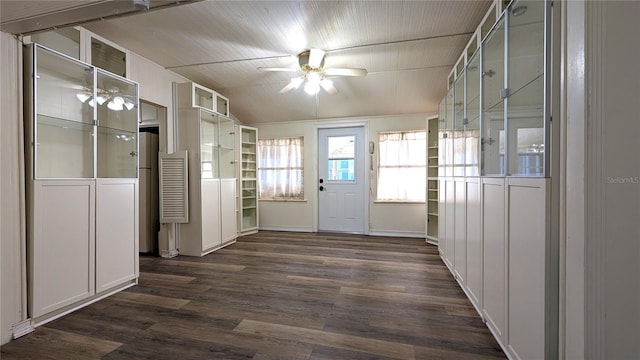 entryway featuring ceiling fan and dark wood-type flooring