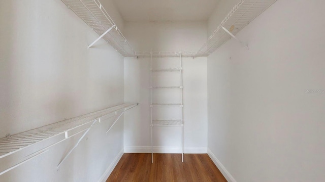 spacious closet featuring hardwood / wood-style floors