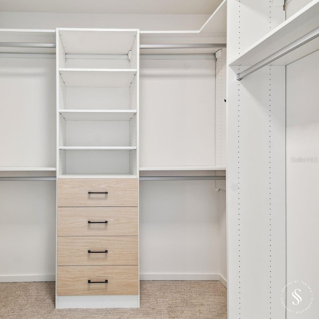 walk in closet featuring carpet floors