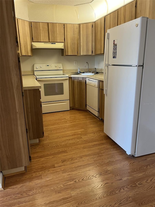 2688 Pine Ridge Way N Unit D1, Palm Harbor, FL 34684 - kitchen with white appliances, under cabinet range hood, a sink, light wood-type flooring, and light countertops