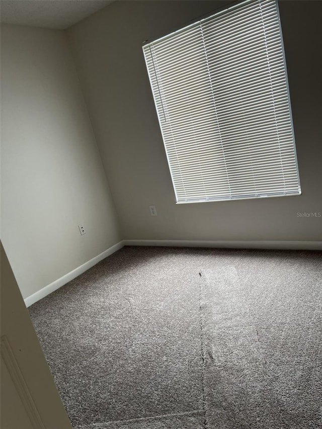 2688 Pine Ridge Way N Unit D1, Palm Harbor, FL 34684 - empty room with carpet and baseboards