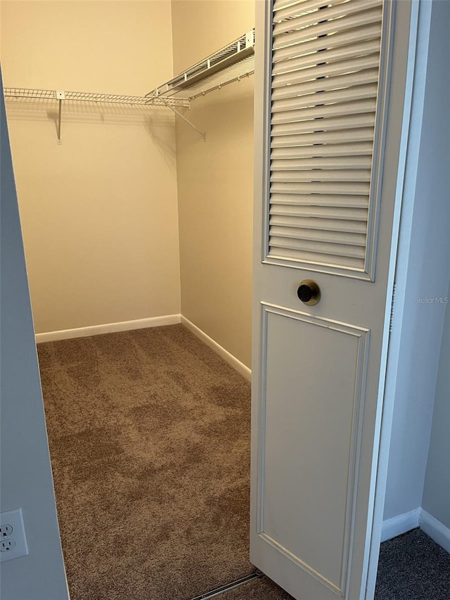 walk in closet with dark carpet