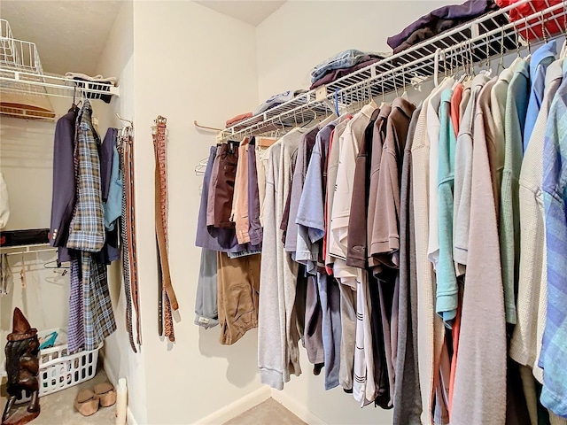 view of spacious closet