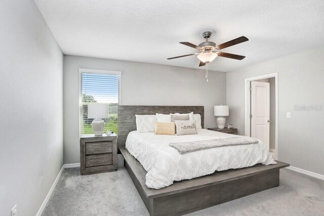 16764 Delia St, Wimauma, FL 33598 - photo 5