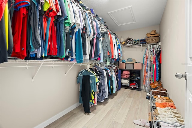 spacious closet featuring light hardwood / wood-style floors