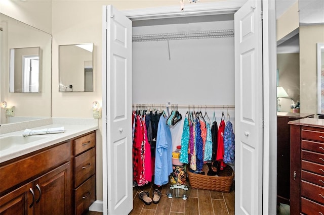 closet with a sink