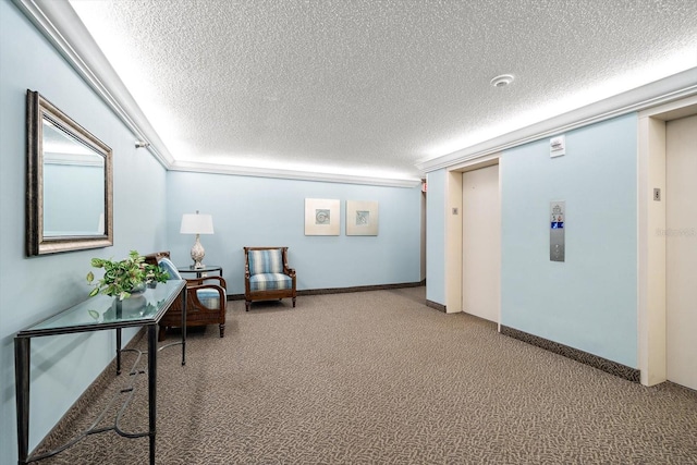 unfurnished room with a textured ceiling and carpet floors