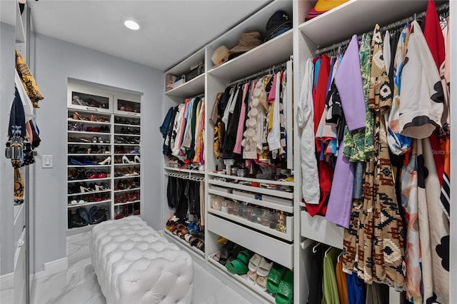 view of spacious closet