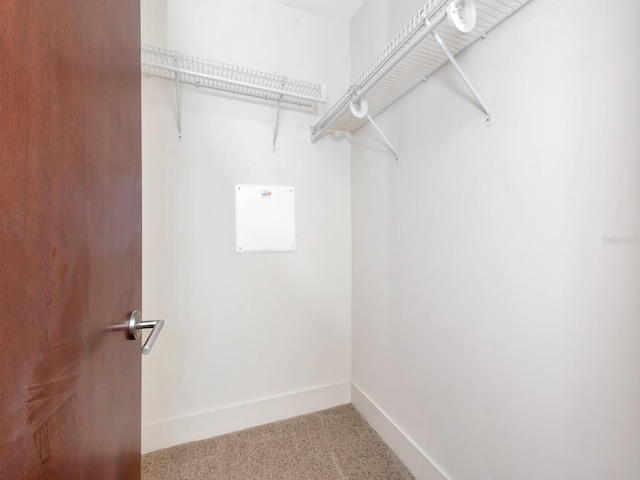 spacious closet with carpet floors