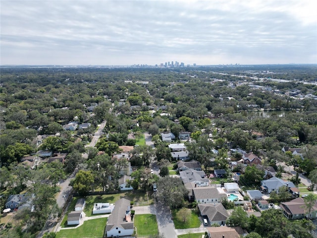 bird's eye view