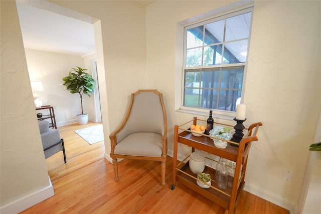 living area featuring light wood-type flooring