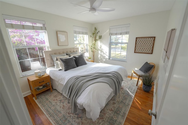 bedroom featuring ceiling fan, dark hardwood / wood-style floors, and multiple windows