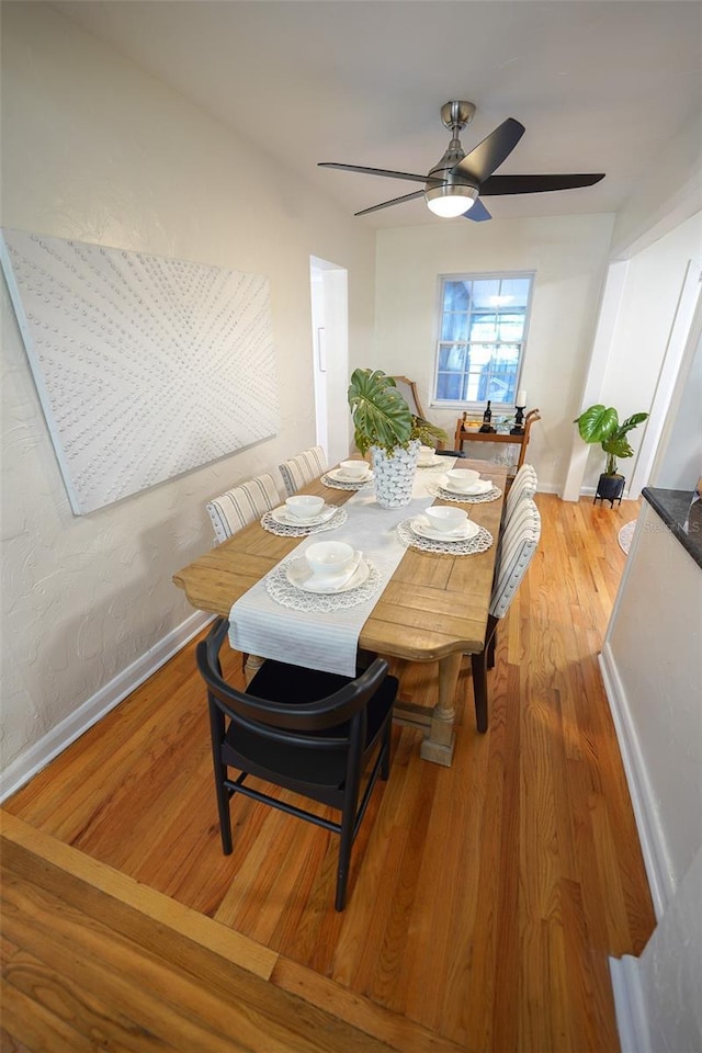 dining space with ceiling fan and wood-type flooring