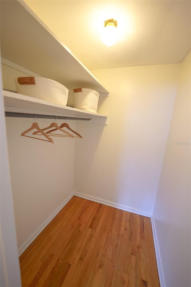 spacious closet with wood-type flooring